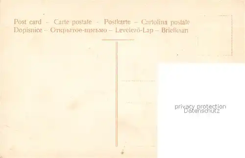 AK / Ansichtskarte Titisee See K?he Titisee