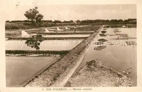 AK / Ansichtskarte Ile_d_Oleron Marals salants Ile_d_Oleron