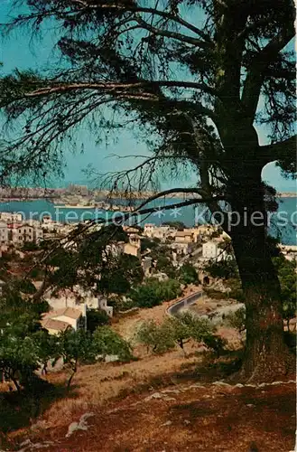 AK / Ansichtskarte Palma_de_Mallorca Vista parcial Palma_de_Mallorca