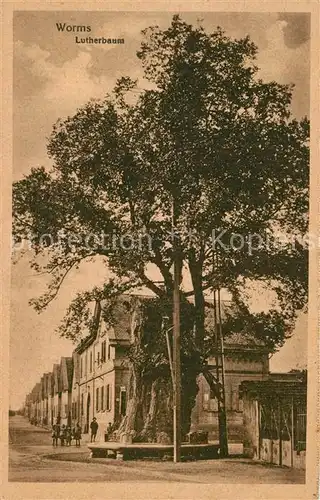 AK / Ansichtskarte Worms_Rhein Lutherbaum Worms Rhein