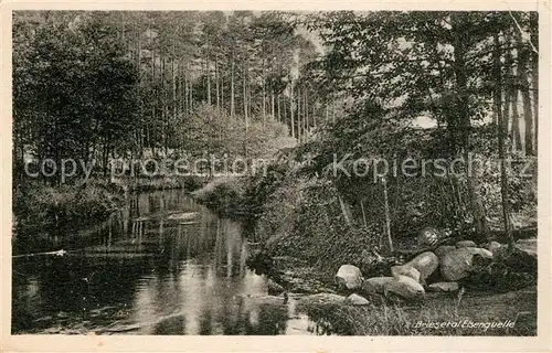 AK / Ansichtskarte Briesetal Elsenquelle 