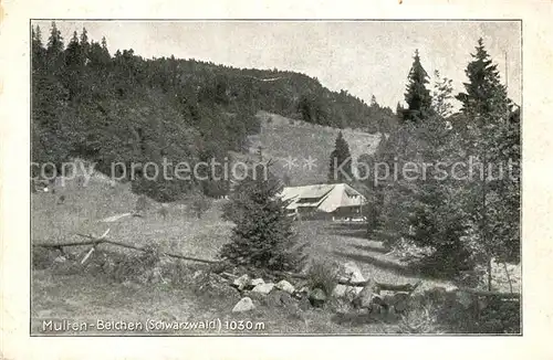 AK / Ansichtskarte Multen Schwarzwald Bauernhaus Belchen Multen