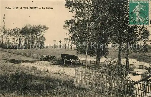 AK / Ansichtskarte Misy sur Yonne La Patare Misy sur Yonne