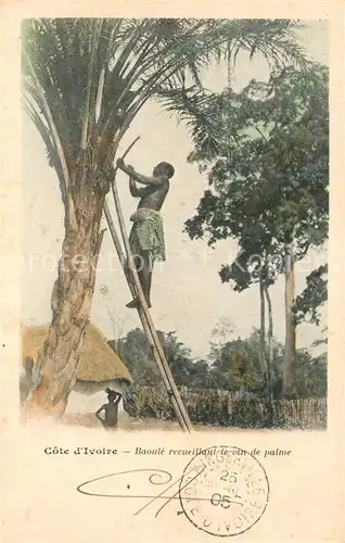 AK / Ansichtskarte Cote_d_Ivoire_Kongo Baoule recueillant de vin de palme Cote_d_Ivoire_Kongo