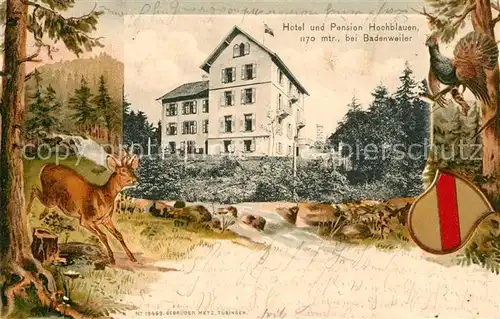 AK / Ansichtskarte Badenweiler Hotel Hochblauen Badenweiler