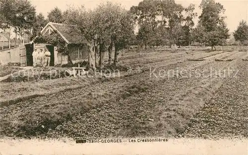 AK / Ansichtskarte Saint_Georges_Aude Les Cressonnieres 
