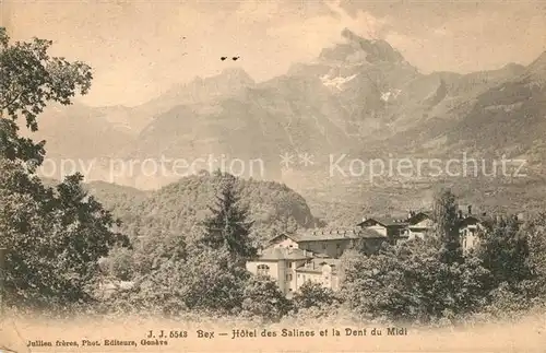 AK / Ansichtskarte Bex_VD Hotel des Salines Dent du Midi Bex_VD