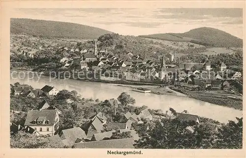 AK / Ansichtskarte Neckargemuend Panorama Neckargemuend