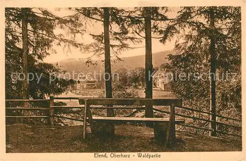 AK / Ansichtskarte Elend_Harz Waldpartie Ruhebank Elend_Harz