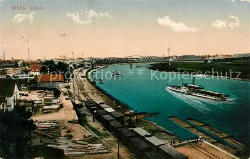 AK / Ansichtskarte Riesa_Sachsen Elbkai Dampfer Riesa Sachsen