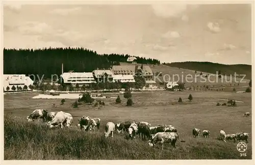 AK / Ansichtskarte Feldberg_Schwarzwald Hotel Feldbergerhof Viehweiden Kuehne Landwirtschaft Feldberg Schwarzwald