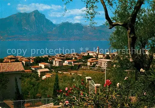 AK / Ansichtskarte Torri_del_Benaco Panorama Gardasee Alpen Torri_del_Benaco