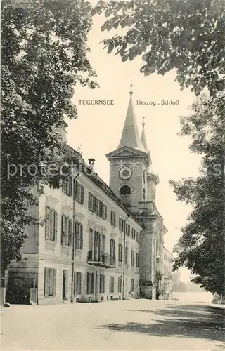 AK / Ansichtskarte Tegernsee Herzogliches Schloss Tegernsee