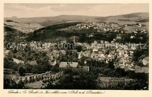 AK / Ansichtskarte Sebnitz Panorama Blick nach dem Lilienstein Stadt der Kunstblumen Sebnitz