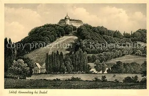 AK / Ansichtskarte Brakel_Westfalen Blick zu Schloss Hinnenburg Brakel_Westfalen