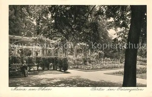 AK / Ansichtskarte Mainz_Rhein Partie im Rosengarten Mainz Rhein