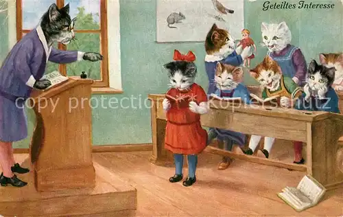 AK / Ansichtskarte Luebeck Katzenschule Geteiltes Interesse Luebeck