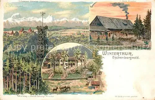 AK / Ansichtskarte Winterthur_ZH Eschenbergwald Aussichtsturm Bauernhof Winterthur ZH