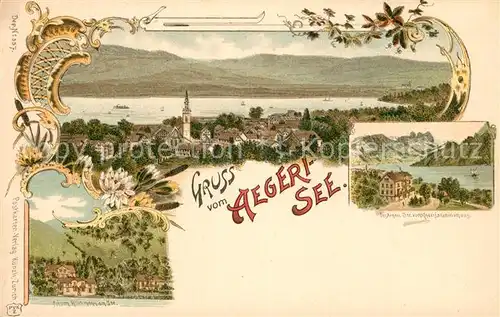 AK / Ansichtskarte Aegerisee Kindersanatorium Pension Witzmann am See Aegerisee