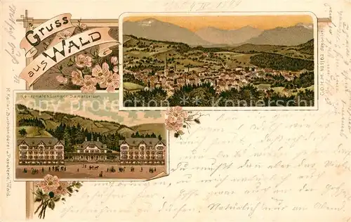 AK / Ansichtskarte Wald_ZH Panorama Kantonales Lungensanatorium Wald_ZH