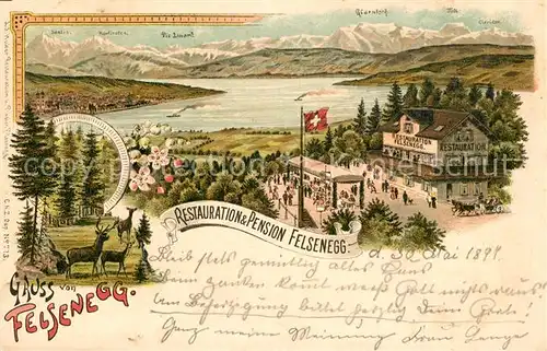 AK / Ansichtskarte Felsenegg Panorama Restauration und Pension Felsenegg Felsenegg