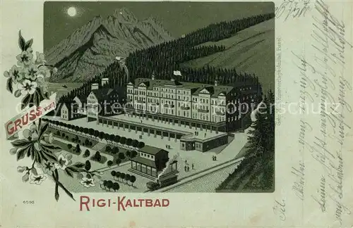 AK / Ansichtskarte Rigi_Kaltbad Panorama Rigi_Kaltbad