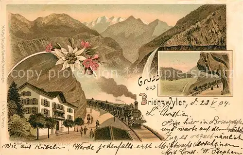 AK / Ansichtskarte Brienzwiler Hotel und Pension Balmnor Brienzwiler