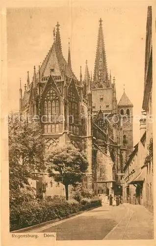 AK / Ansichtskarte Regensburg Dom Regensburg