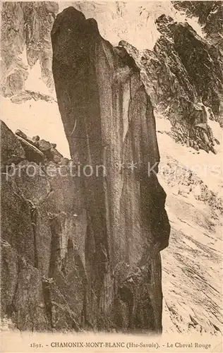 AK / Ansichtskarte Chamonix Cheval Rouge Chamonix