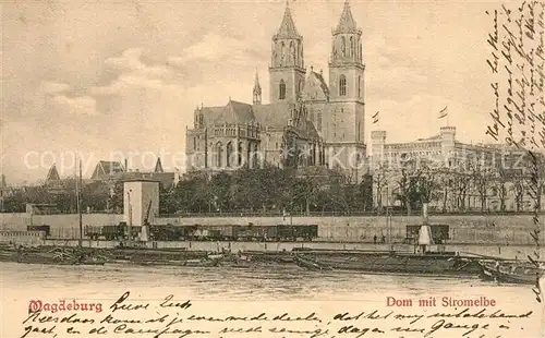 AK / Ansichtskarte Magdeburg Dom mit Stromelbe Magdeburg