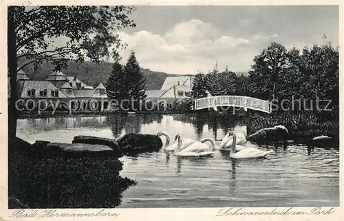 AK / Ansichtskarte Bad_Hermannsborn Schwanenteich im Park Bad_Hermannsborn