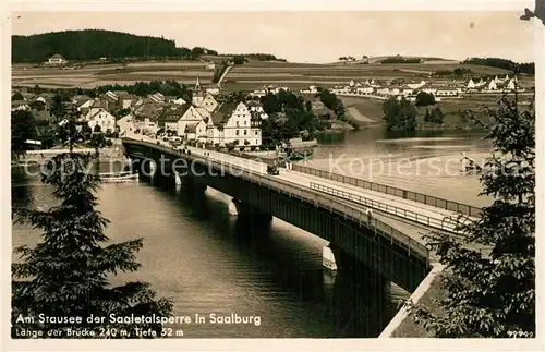 AK / Ansichtskarte Saalburg_Saale Am Stausee der Saaletalsperre Bruecke Saalburg_Saale