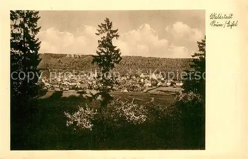 AK / Ansichtskarte Pruem_Eifel Panorama Pruem_Eifel