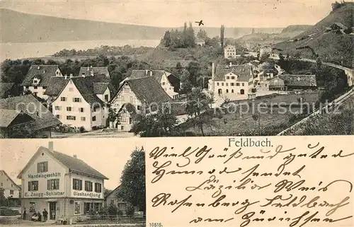 AK / Ansichtskarte Feldbach_Meilen Panorama Glashandlung Feldbach_Meilen