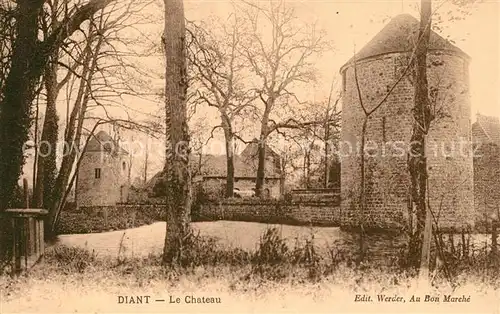 AK / Ansichtskarte Diant Chateau Diant