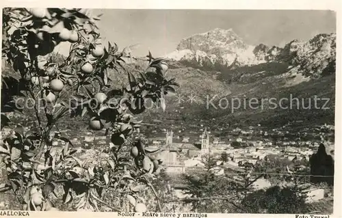 AK / Ansichtskarte Soller_Mallorca Nieve y naranjos Soller_Mallorca