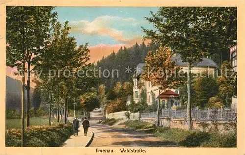 AK / Ansichtskarte Ilmenau_Thueringen Waldstrasse Ilmenau Thueringen