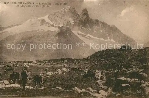 AK / Ansichtskarte Chamonix  Chamonix