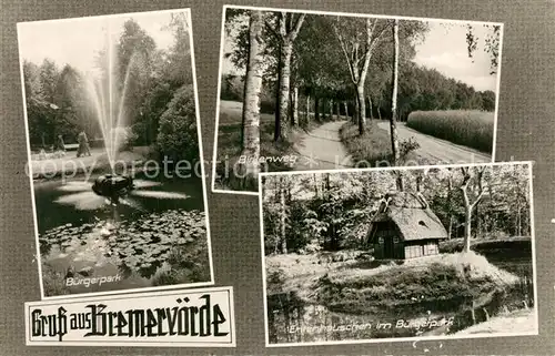 AK / Ansichtskarte Bremervoerde Buergerpark Birkenweg Entenhaeuschen Bremervoerde