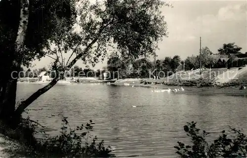 AK / Ansichtskarte Rackeve Doemsoed Duna Partie Rackeve