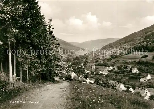 AK / Ansichtskarte Rippberg Panorama Rippberg