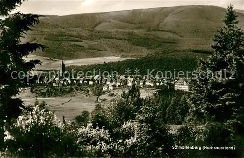 AK / Ansichtskarte Schmallenberg Panorama Schmallenberg