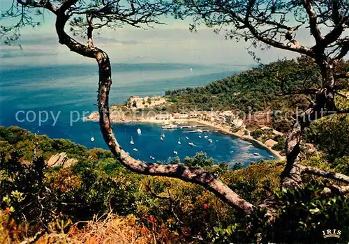 AK / Ansichtskarte Ile_de_Port Cros  Ile_de_Port Cros