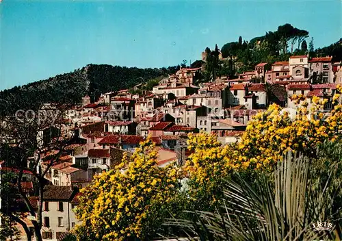 AK / Ansichtskarte Bormes les Mimosas  Bormes les Mimosas