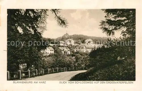AK / Ansichtskarte Blankenburg_Harz Blick vom Schlossweg auf Grossvaterfelsen Blankenburg_Harz