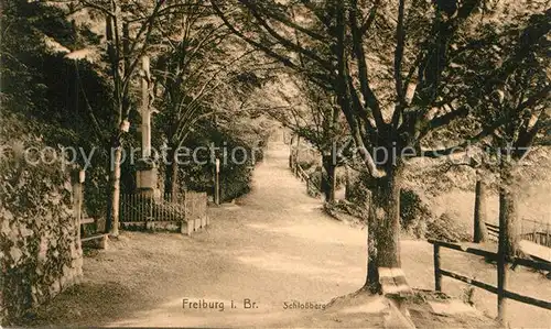 AK / Ansichtskarte Freiburg_Breisgau Partie auf dem Schlossberg Inri Kreuz Freiburg Breisgau