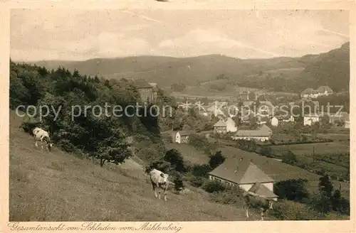 AK / Ansichtskarte Schleiden_Eifel Panorama Blick vom Muehlenberg Schleiden_Eifel