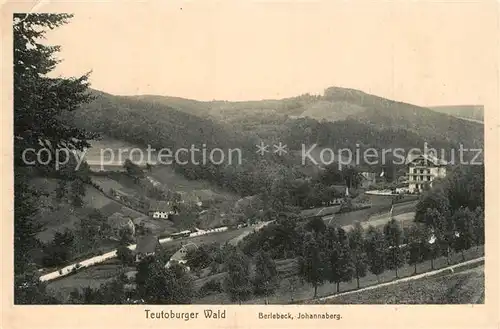 AK / Ansichtskarte Berlebeck Johannaberg Landschaftspanorama Teutoburger Wald Berlebeck