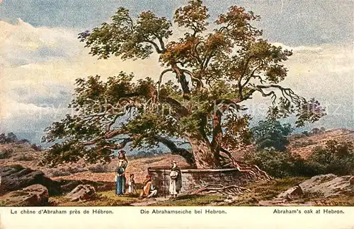 AK / Ansichtskarte Hebron Abrahamseiche Hebron