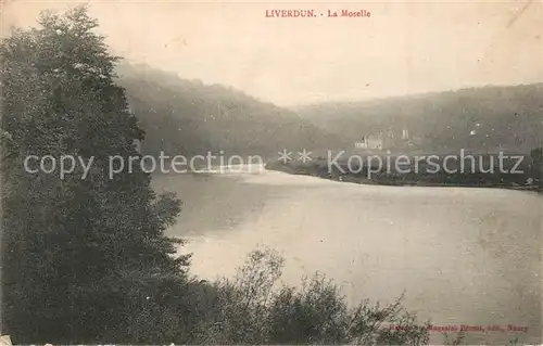 AK / Ansichtskarte Liverdun Moselle Panorama Liverdun